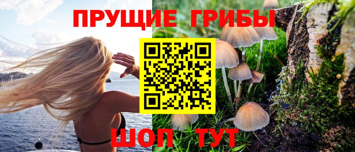 Галлюциногенные грибы мицелий Орёл