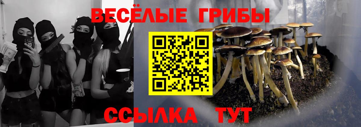 Орёл  Псилоцибиновые грибы Cubensis  закладка  Вход с VPN 